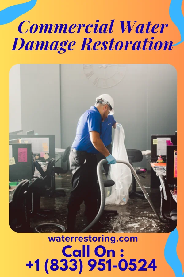 Commercial Water Damage Restoration in Port Angeles East, WA