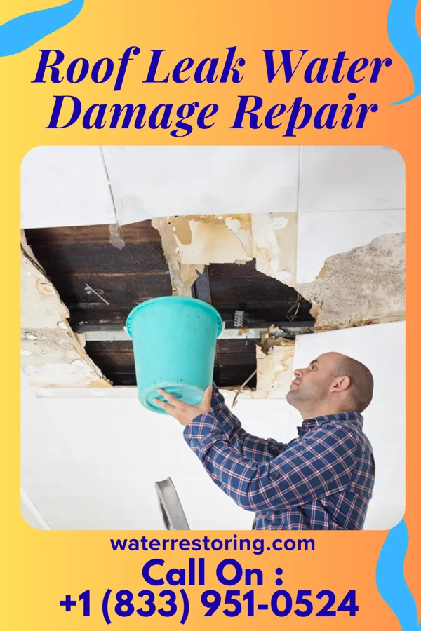 Roof Leak Water Damage Repair in Port Angeles East, WA